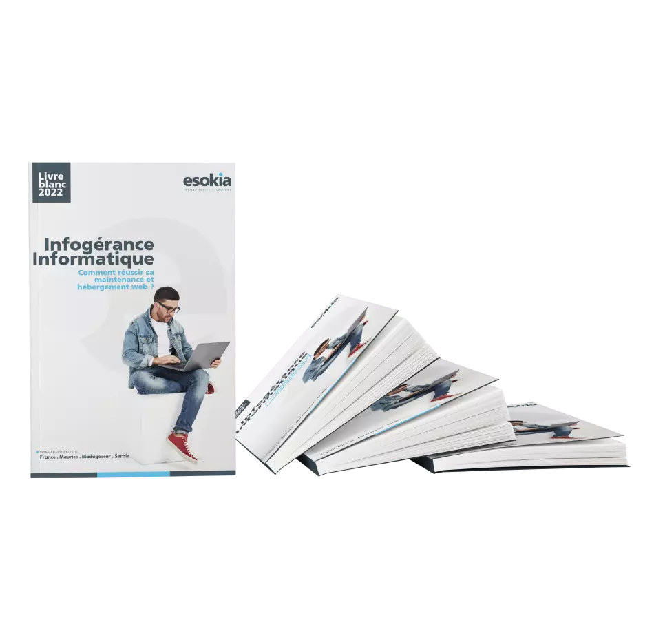 infogerance livre