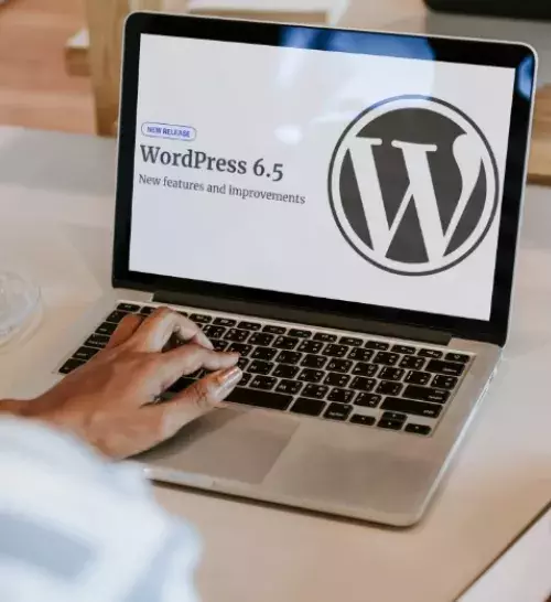 WordPress 6.5.2